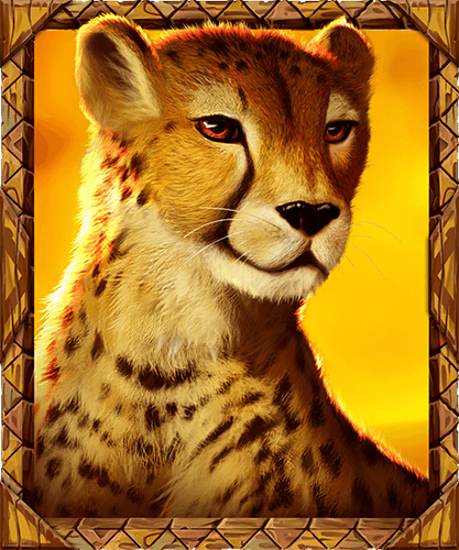 Cheetah_Animation