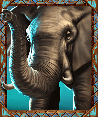 Elephant_Animation