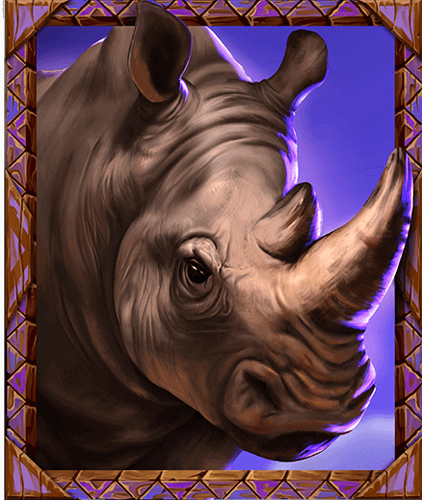 Rhino_Animation